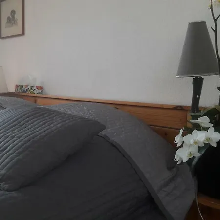 Place De L'etoile Guest house