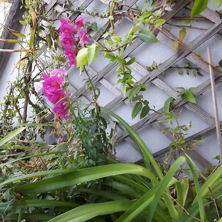 Guest house Place De L'etoile