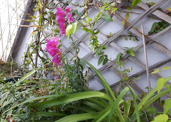 Gasthof Place De L'etoile